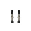 Kép 1/3 - WTB Standard Tubeless (RVC) szingó szelep [ezüst, 34 mm]