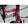 Kép 4/4 - TransMontana MTB kerékpár 1.0 Revo női pink/kék 15