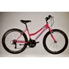 Kép 1/4 - TransMontana MTB kerékpár 1.0 Revo női pink/kék 15