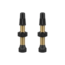 WTB Tubeless szingó szelep garnitúra [46 mm]