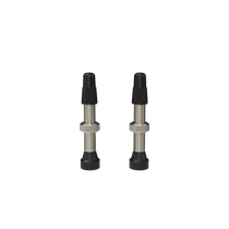 WTB Standard Tubeless (RVC) szingó szelep [ezüst, 34 mm]