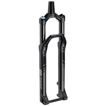 Villa DT Swiss F 232 ONE 29' 100mm BOOST 15mm TA Tapered 44mm offset