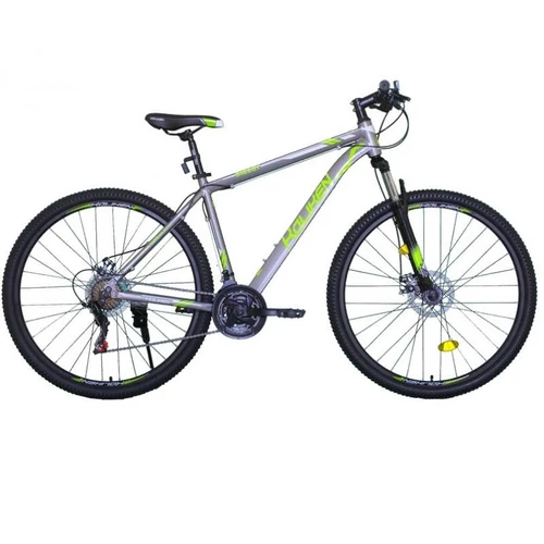 Kp Koliken 29" BigBoy MTB kerékpár szürke/zöld 19"